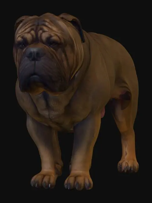 3D model for Ultra realistic ultra detail dog of a mastiff class breed. Ultra high quality realistic textures. Solid infill.