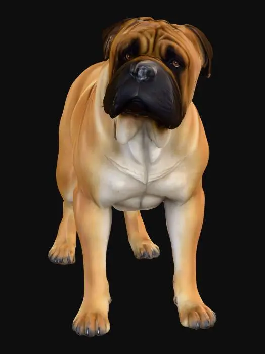 3D model for Ultra realistic ultra detail dog of a mastiff class breed. Ultra high quality realistic textures. Solid infill.
