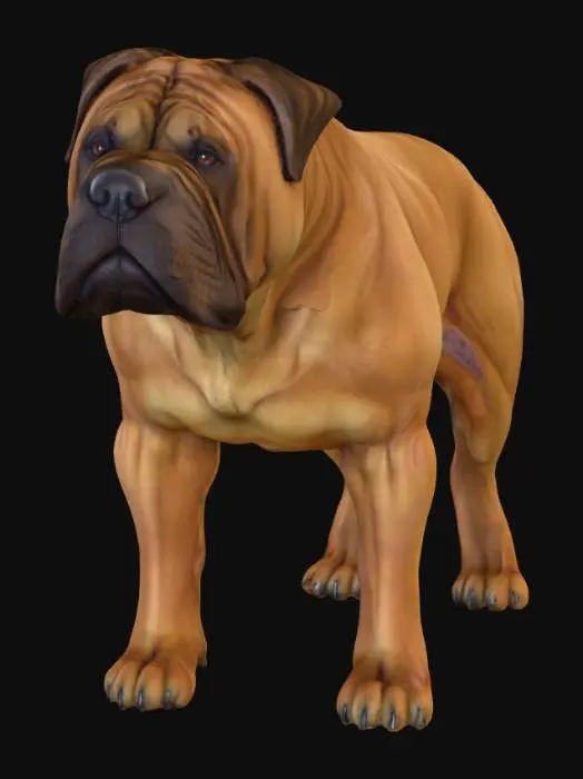 3D model for Ultra realistic ultra detail dog of a mastiff class breed. Ultra high quality realistic textures. Solid infill.