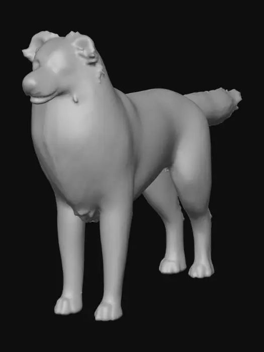 3D model for Ultra realistic ultra detail dog in the collie family breed. Ultra high quality realistic textures. Solid infill.