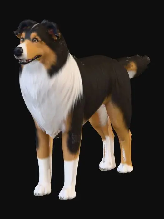 3D model for Ultra realistic ultra detail dog in the collie family breed. Ultra high quality realistic textures. Solid infill.