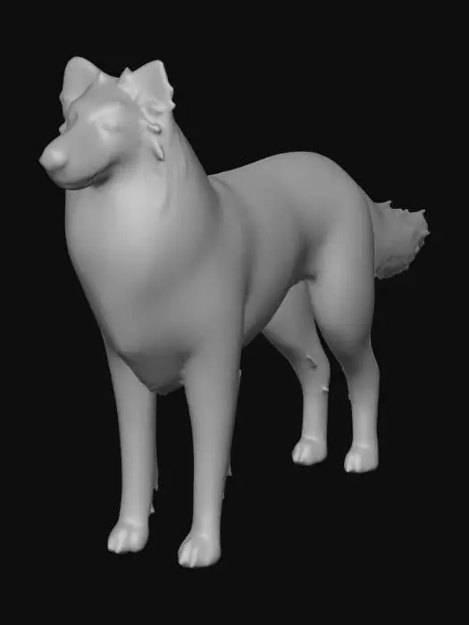 3D model for Ultra realistic ultra detail dog in the collie family breed. Ultra high quality realistic textures. Solid infill.