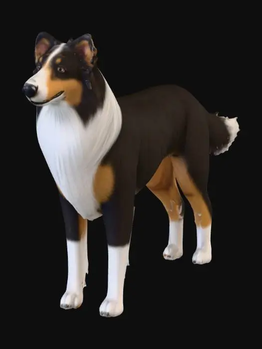 3D model for Ultra realistic ultra detail dog in the collie family breed. Ultra high quality realistic textures. Solid infill.