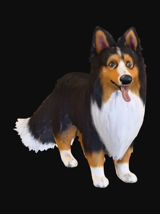 3D model for Ultra realistic ultra detail dog in the collie family breed. Ultra high quality realistic textures. Solid infill.