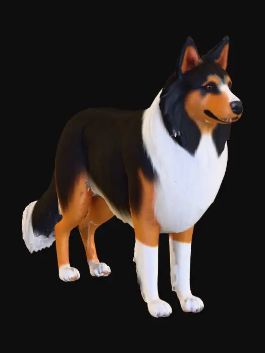 3D model for Ultra realistic ultra detail dog in the collie family breed. Ultra high quality realistic textures. Solid infill.
