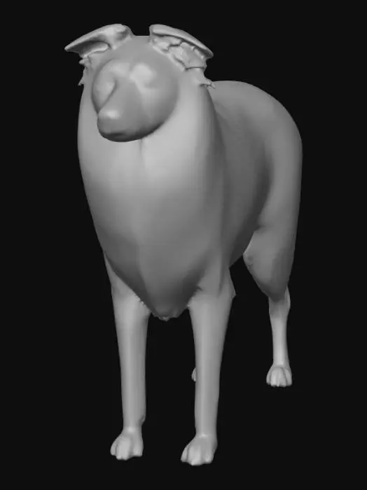 3D model for Ultra realistic ultra detail dog in the collie family breed. Ultra high quality realistic textures. Solid infill.