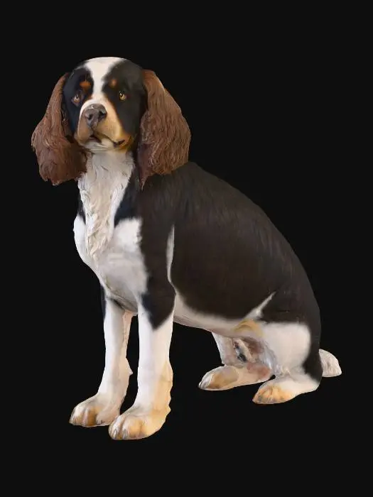 3D model for Ultra realistic ultra detail dog of a spaniel class breed. Ultra high quality realistic textures. Solid infill.