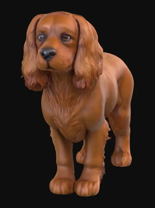 3D model for Ultra realistic ultra detail dog of a spaniel class breed. Ultra high quality realistic textures. Solid infill.