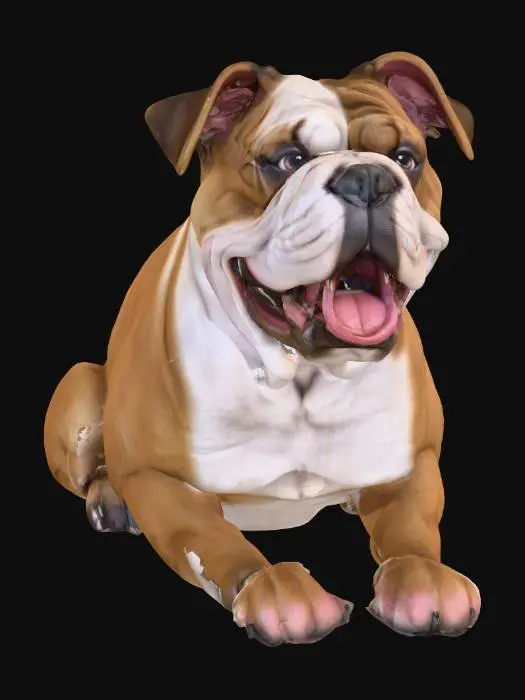 3D model for Ultra realistic ultra detail dog of a bulldog class breed. Ultra high quality realistic textures. Solid infill.
