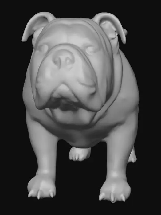 3D model for Ultra realistic ultra detail dog of a bulldog class breed. Ultra high quality realistic textures. Solid infill.