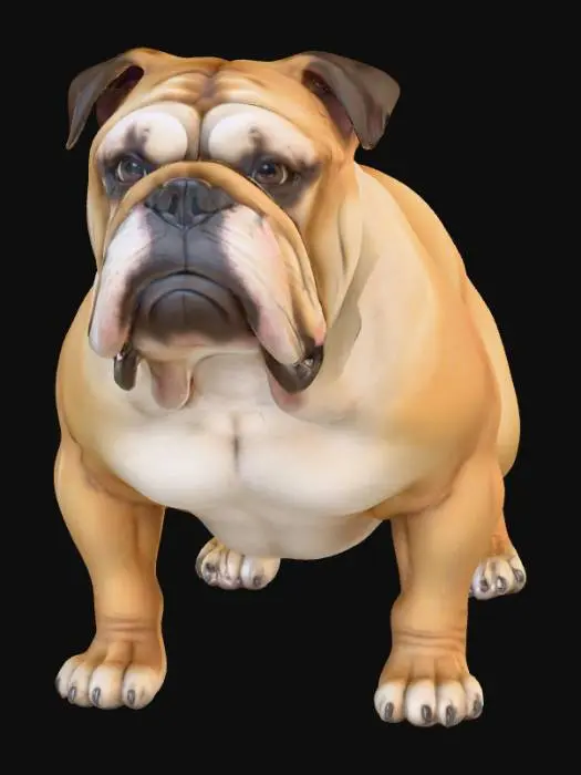 3D model for Ultra realistic ultra detail dog of a bulldog class breed. Ultra high quality realistic textures. Solid infill.