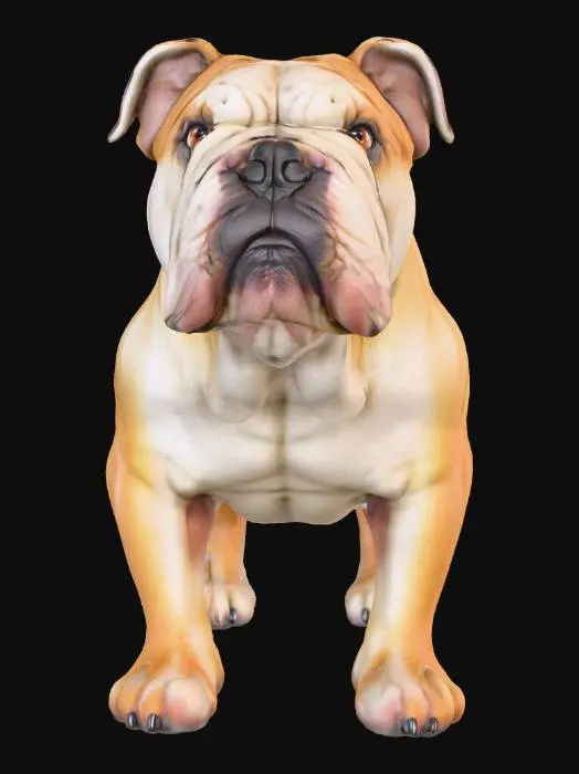 3D model for Ultra realistic ultra detail dog of a bulldog class breed. Ultra high quality realistic textures. Solid infill.