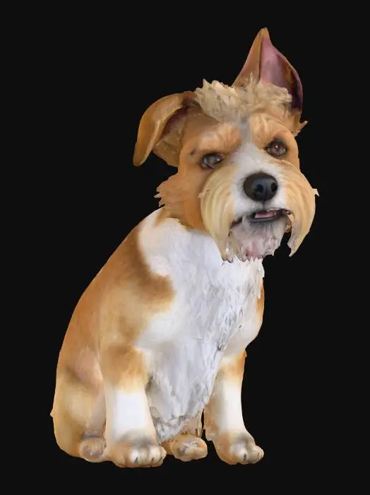 3D model for Ultra realistic ultra detail dog of a terrier dog class breed. Ultra high quality realistic textures. Solid infill.