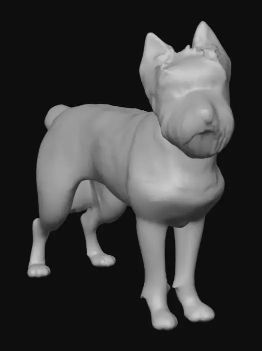 3D model for Ultra realistic ultra detail dog of a terrier dog class breed. Ultra high quality realistic textures. Solid infill.