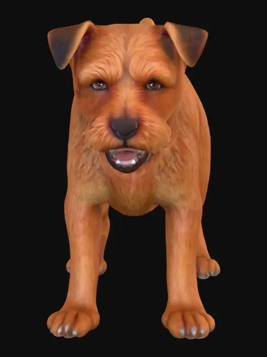 3D model for Ultra realistic ultra detail dog of a terrier dog class breed. Ultra high quality realistic textures. Solid infill.
