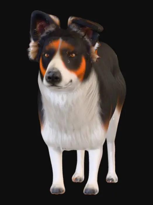 3D model for Ultra realistic ultra detail dog of a sheepdog class breed. Ultra high quality realistic textures. Solid infill.