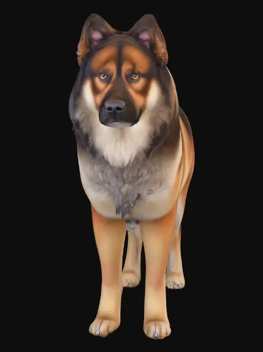 3D model for Ultra realistic ultra detail dog of a mountain dog class breed. Ultra high quality realistic textures. Solid infill.
