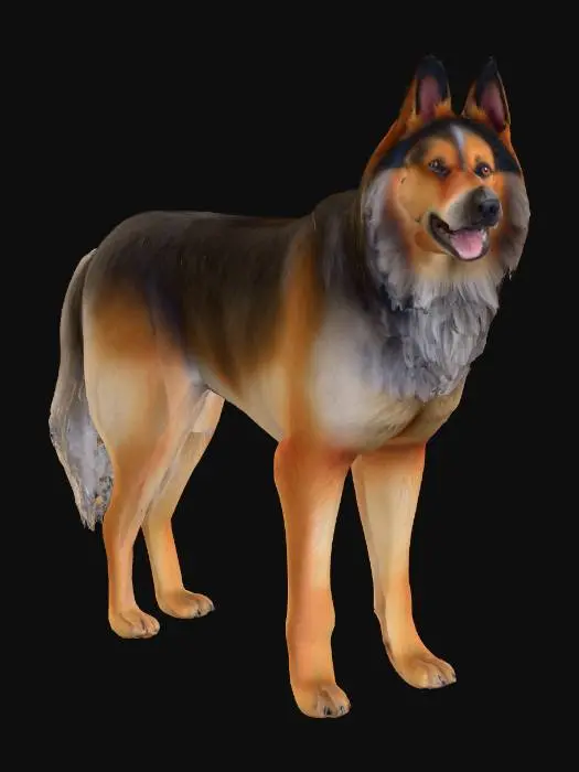 3D model for Ultra realistic ultra detail dog of a mountain dog class breed. Ultra high quality realistic textures. Solid infill.