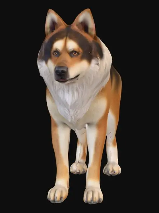 3D model for Ultra realistic ultra detail dog of a mountain dog class breed. Ultra high quality realistic textures. Solid infill.