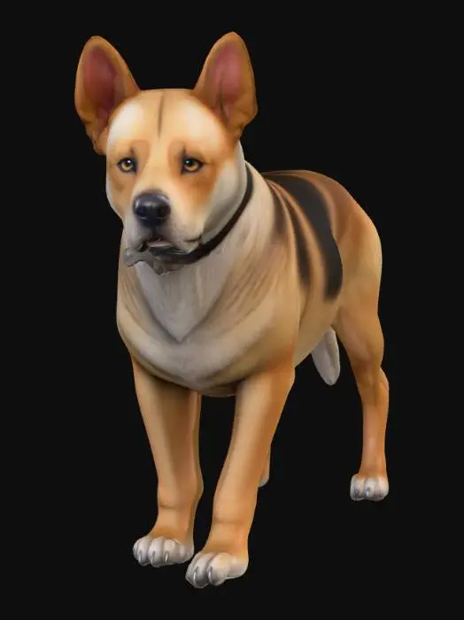 3D model for Ultra realistic ultra detail dog of a rescue dog class breed. Ultra high quality realistic textures. Solid infill.