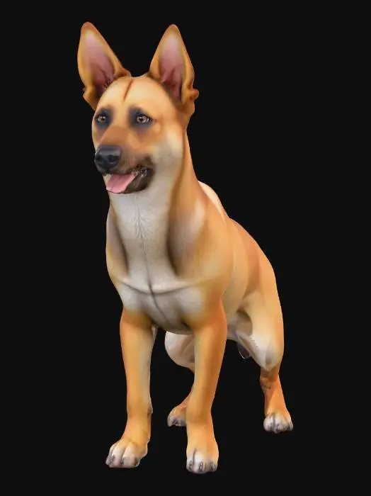 3D model for Ultra realistic ultra detail dog of a rescue dog class breed. Ultra high quality realistic textures. Solid infill.