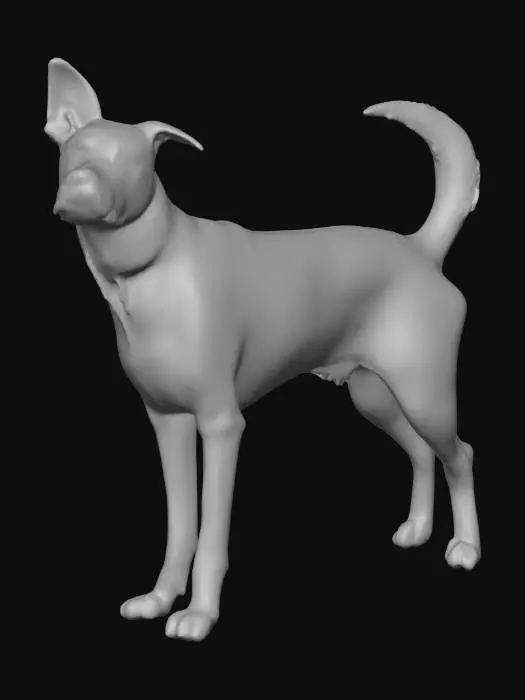 3D model for Ultra realistic ultra detail dog of a rescue dog class breed. Ultra high quality realistic textures. Solid infill.