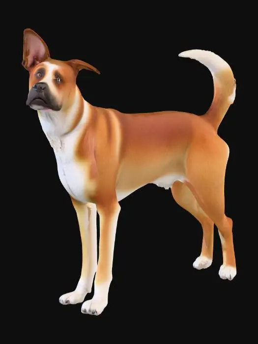 3D model for Ultra realistic ultra detail dog of a rescue dog class breed. Ultra high quality realistic textures. Solid infill.