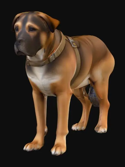 3D model for Ultra realistic ultra detail dog of a rescue dog class breed. Ultra high quality realistic textures. Solid infill.