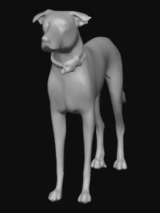 3D model for Ultra realistic ultra detail dog of a rescue dog class breed. Ultra high quality realistic textures. Solid infill.