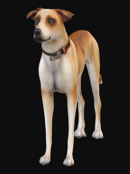 3D model for Ultra realistic ultra detail dog of a rescue dog class breed. Ultra high quality realistic textures. Solid infill.