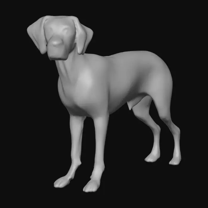 3D model for Ultra realistic ultra detail dog of a pointer class breed. Ultra high quality realistic textures. Solid infill.
