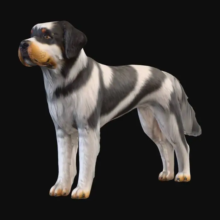 3D model for Ultra realistic ultra detail dog of a setter class breed. Ultra high quality realistic textures. Solid infill.