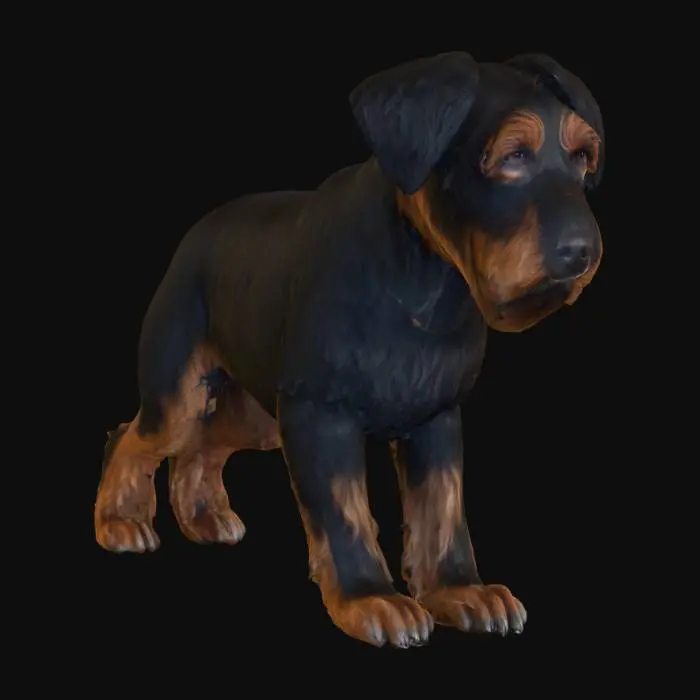 3D model for Ultra realistic ultra detail dog of a setter class breed. Ultra high quality realistic textures. Solid infill.