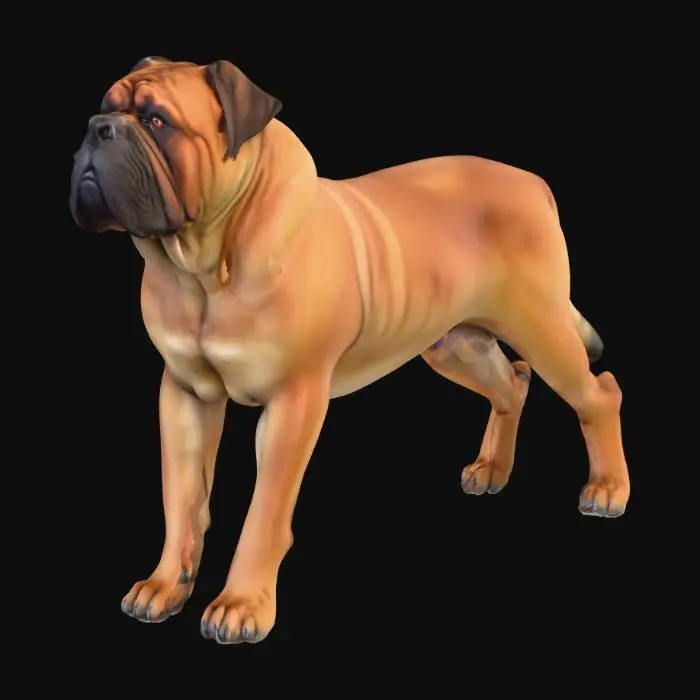 3D model for Ultra realistic ultra detail dog of a mastiff class breed. Ultra high quality realistic textures. Solid infill.