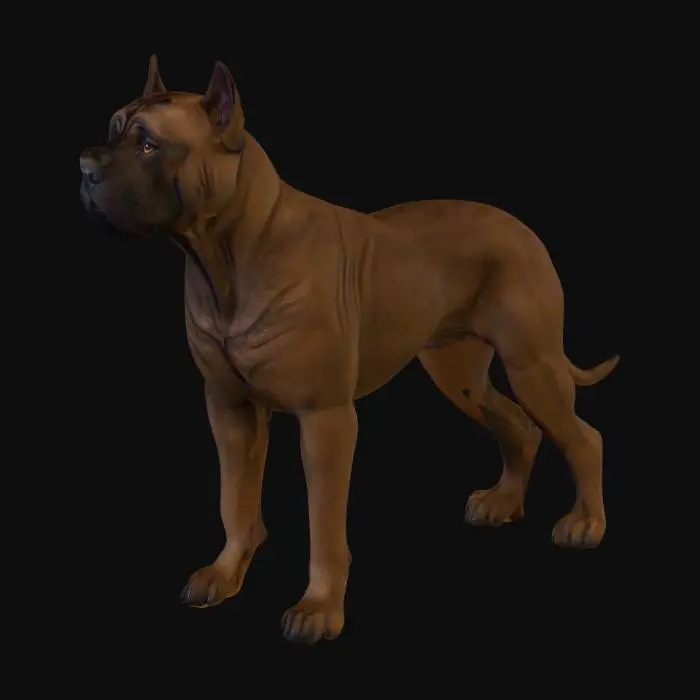 3D model for Ultra realistic ultra detail dog of a mastiff class breed. Ultra high quality realistic textures. Solid infill.