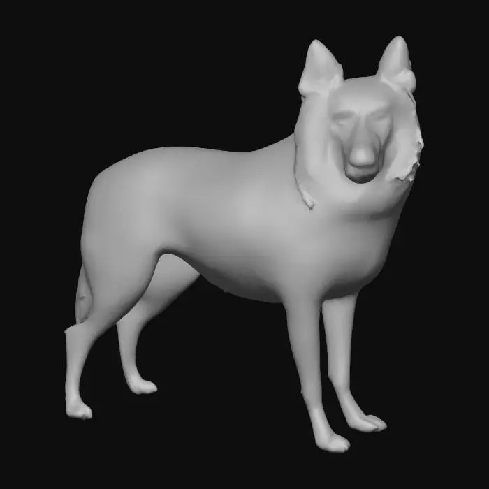 3D model for Ultra realistic ultra detail dog in the collie family breed. Ultra high quality realistic textures. Solid infill.