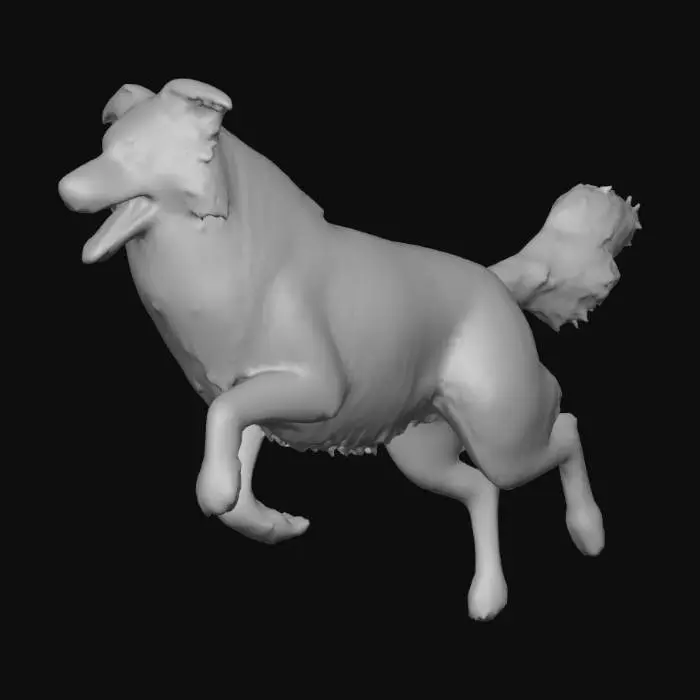 3D model for Photorealistic Australian Shepard in an action pose. Proper proportions. Highly detailed. High quality photorealistic textures. Solid infill.