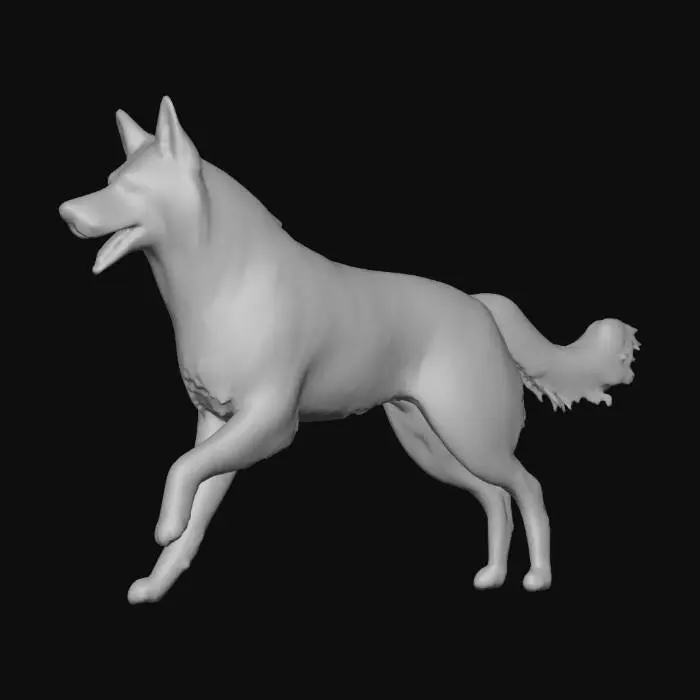 3D model for Photorealistic Australian Shepard in an action pose. Proper proportions. Highly detailed. High quality photorealistic textures. Solid infill.