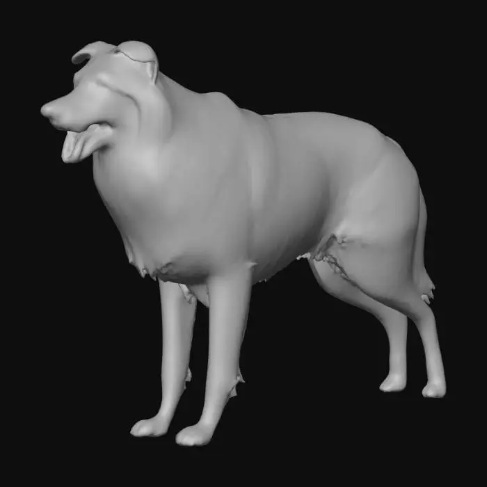 3D model for Photorealistic Australian Shepard in an action pose. Proper proportions. Highly detailed. High quality photorealistic textures. Solid infill.