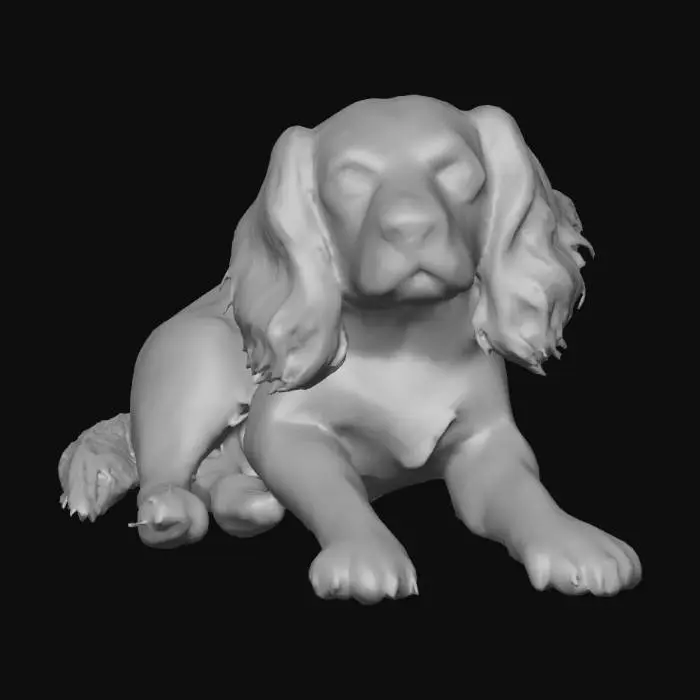 3D model for Ultra realistic ultra detail dog of a spaniel class breed. Ultra high quality realistic textures. Solid infill.