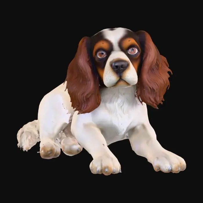 3D model for Ultra realistic ultra detail dog of a spaniel class breed. Ultra high quality realistic textures. Solid infill.