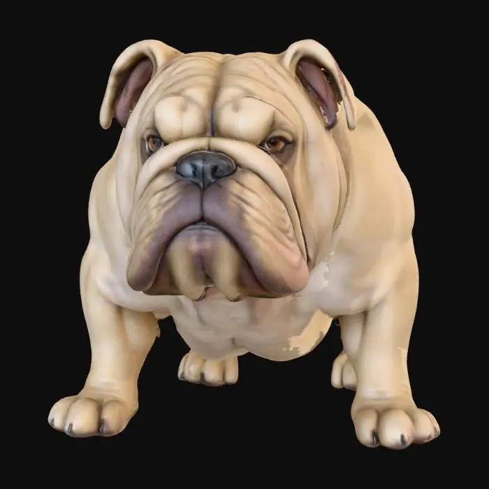 3D model for Ultra realistic ultra detail dog of a bulldog class breed. Ultra high quality realistic textures. Solid infill.