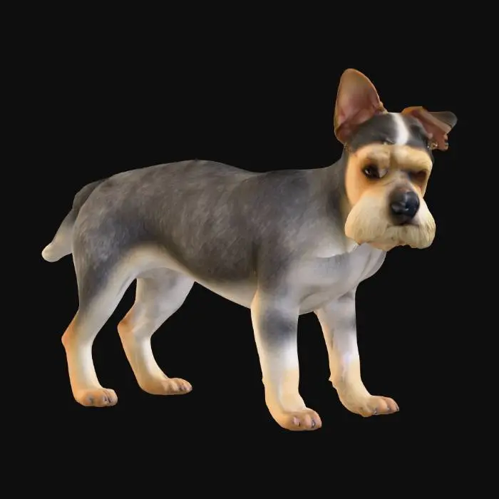 3D model for Ultra realistic ultra detail dog of a terrier dog class breed. Ultra high quality realistic textures. Solid infill.