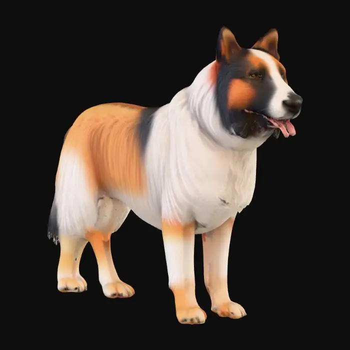 3D model for Ultra realistic ultra detail dog of a sheepdog class breed. Ultra high quality realistic textures. Solid infill.
