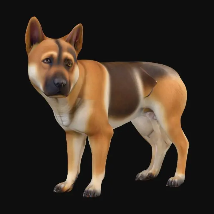 3D model for Ultra realistic ultra detail dog of a rescue dog class breed. Ultra high quality realistic textures. Solid infill.