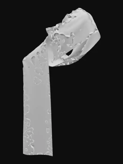 3D model for 披肩莎莉