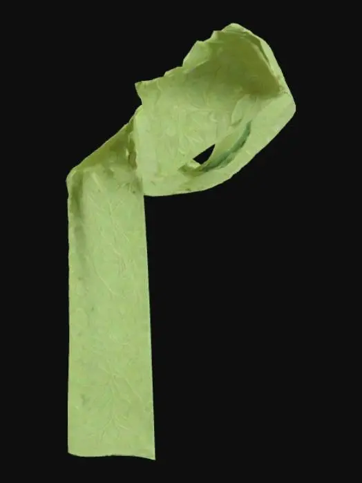 3D model for 披肩莎莉