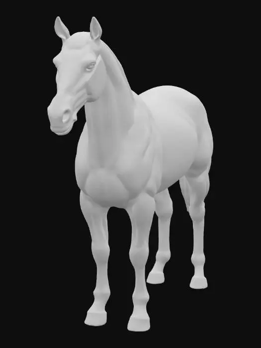 3D model for Digital Equine Grid