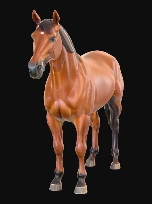 3D model for Digital Equine Grid