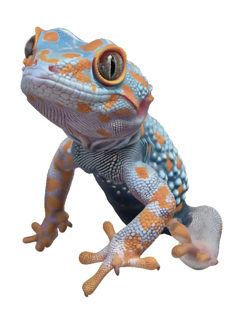 gecko